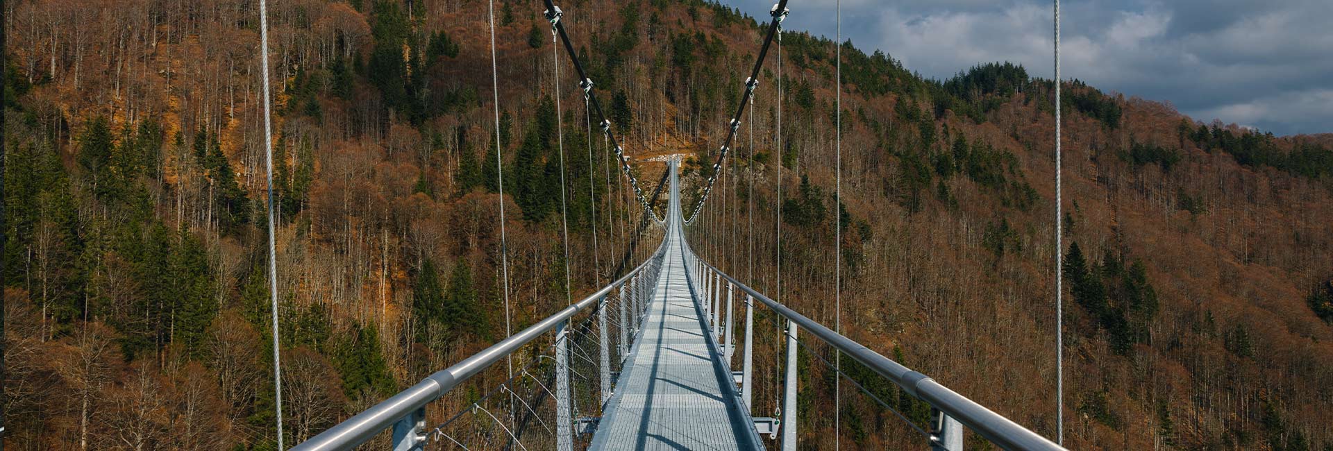 BLACKFORESTLINE Suspension bridge