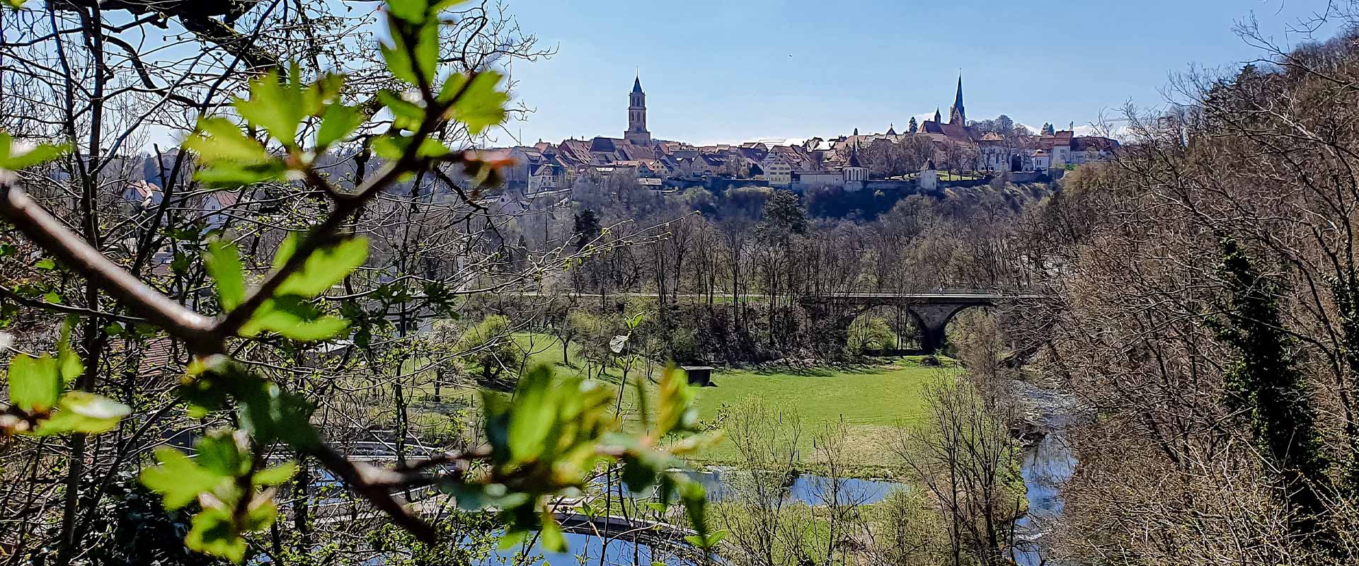 Blick auf die Skyline von der Stadt Rottweil mit Bäumen in Vordergrund