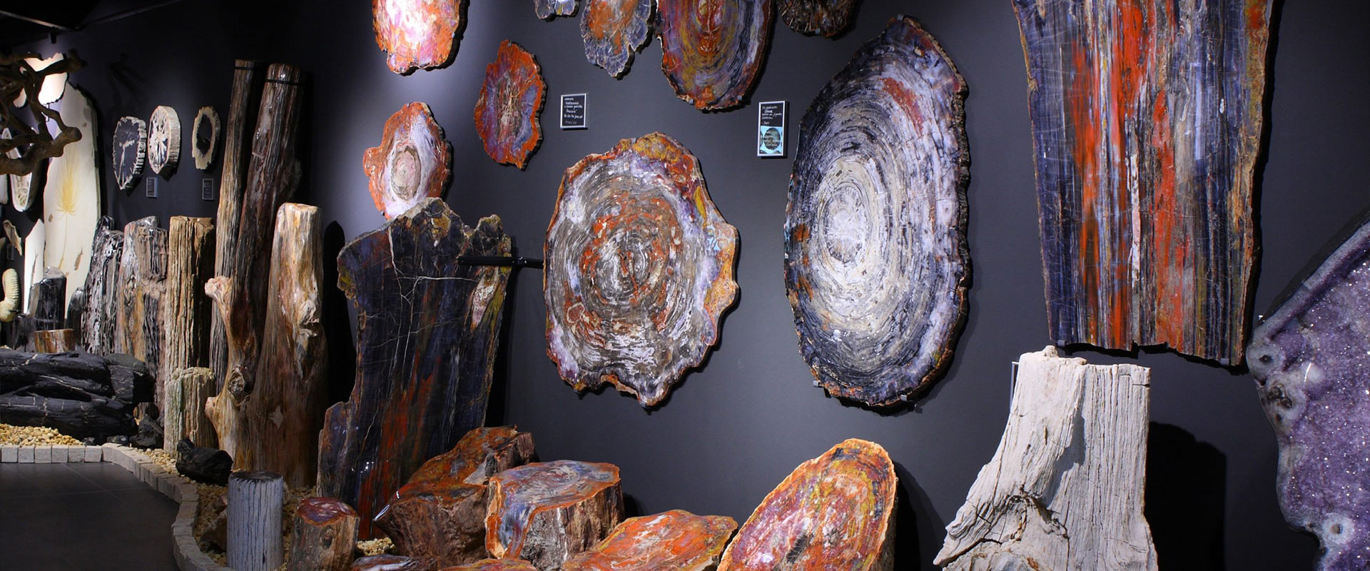 Krisallmuseum mit riesen großen versteinerten Baum-Kristallen