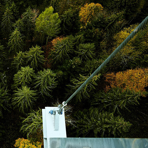 Blick von oben auf einen Mischwald und Seilzügen