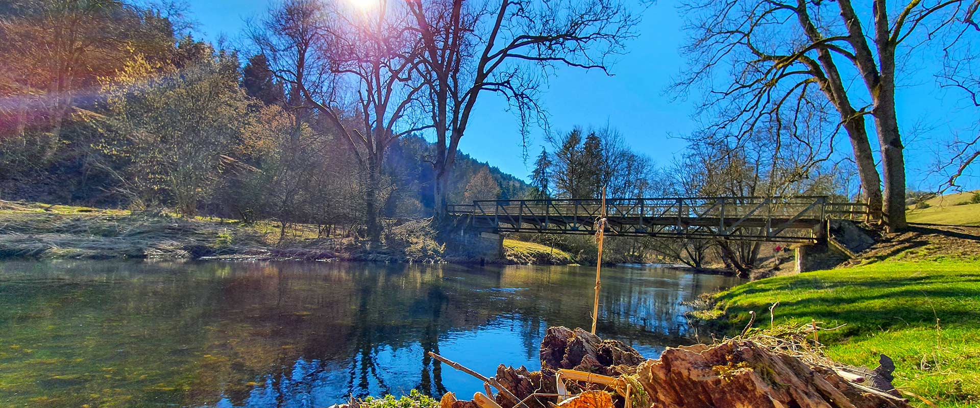 Ansicht auf Neckar Fluss mit Brücke, Wald und Wiese bei Sonnenschein